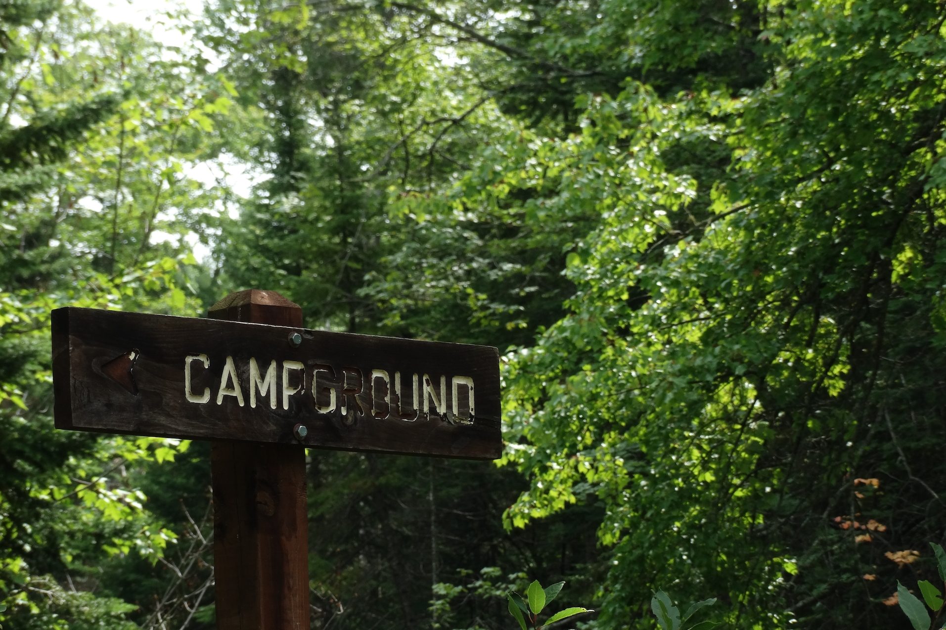 Wegweiser Campingplatz im Wald